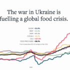 Ukraine food crisis graph