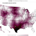 NYT Maps Impact of Roe Abortion Ruling