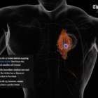 data journalism AR-15 history visualization wound